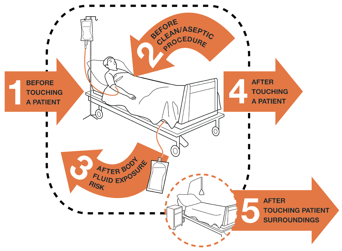 Figure 1. My five moments for Hand Hygiene in Health Care