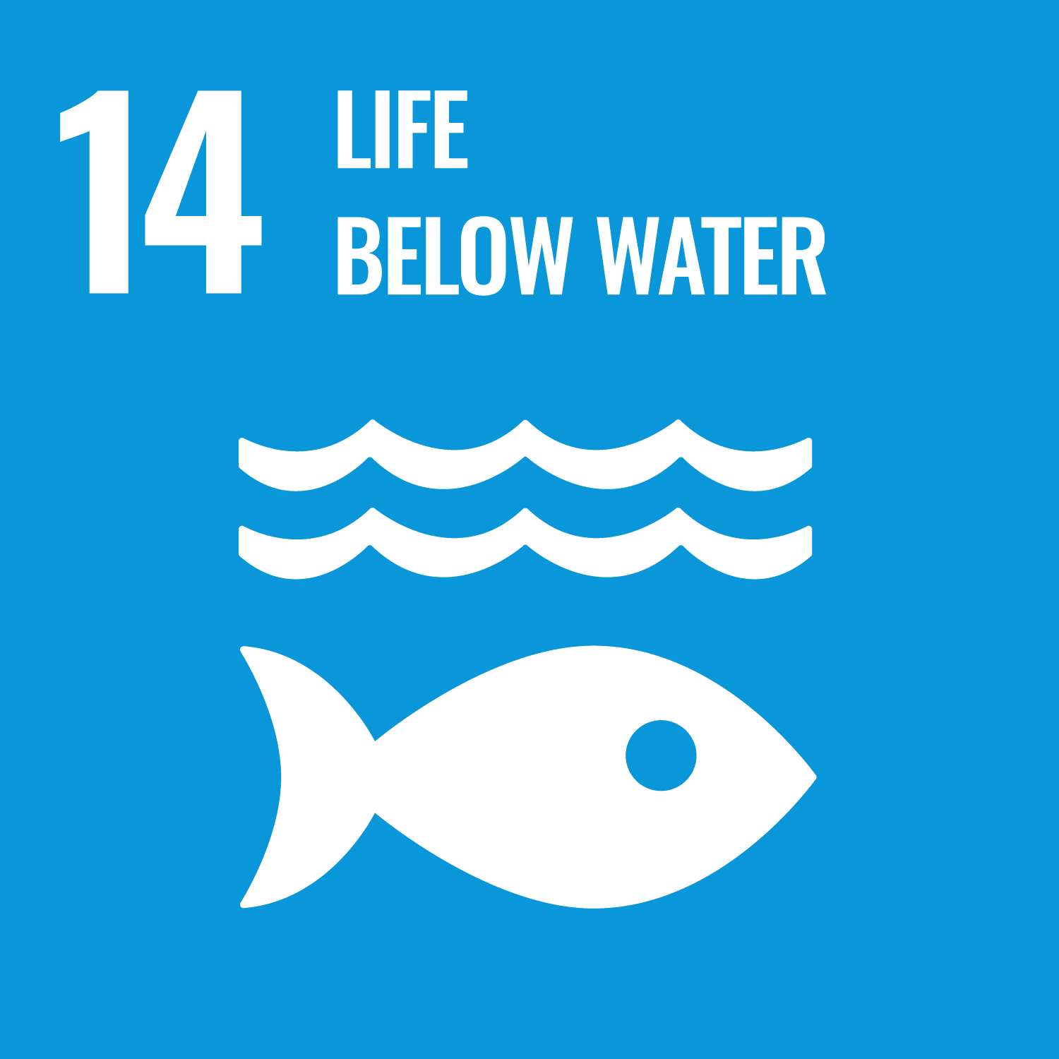 Goal 14. Life below water.