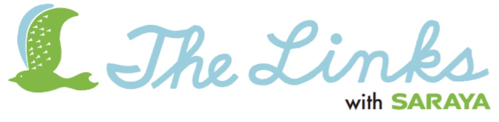 the links logo