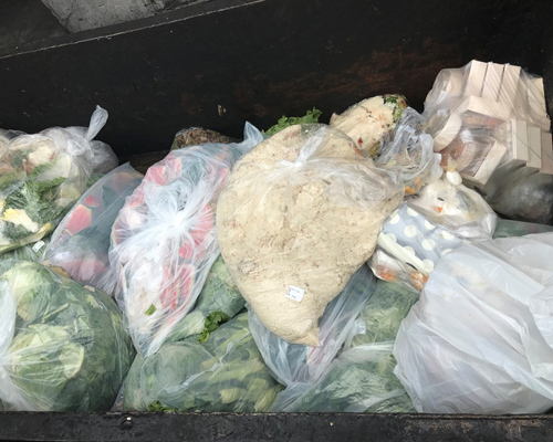 Food waste arriving at the KSN factory. Mainly vegetables.